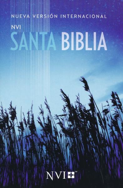 Santa Biblia NVI Misionera Azul