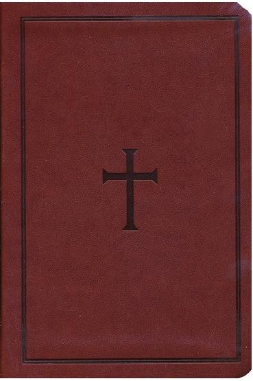 Christian Standard Bible