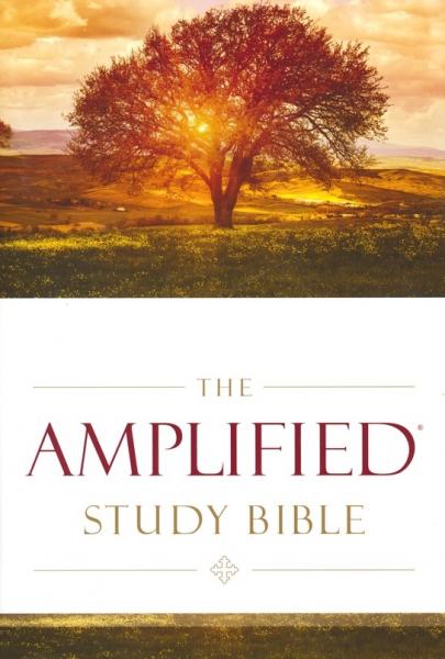 Amplified study Bible