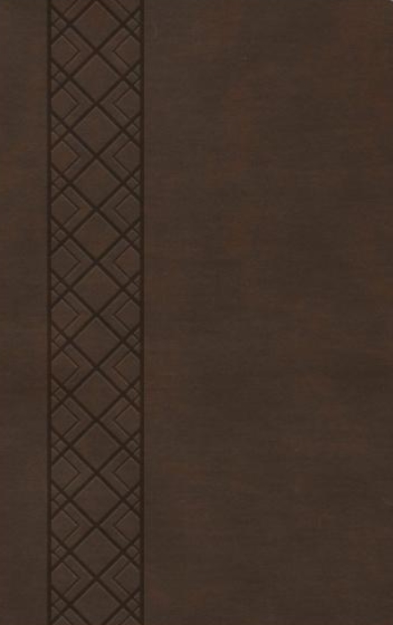 Csb ultrathin reference bible, brown leathertouch