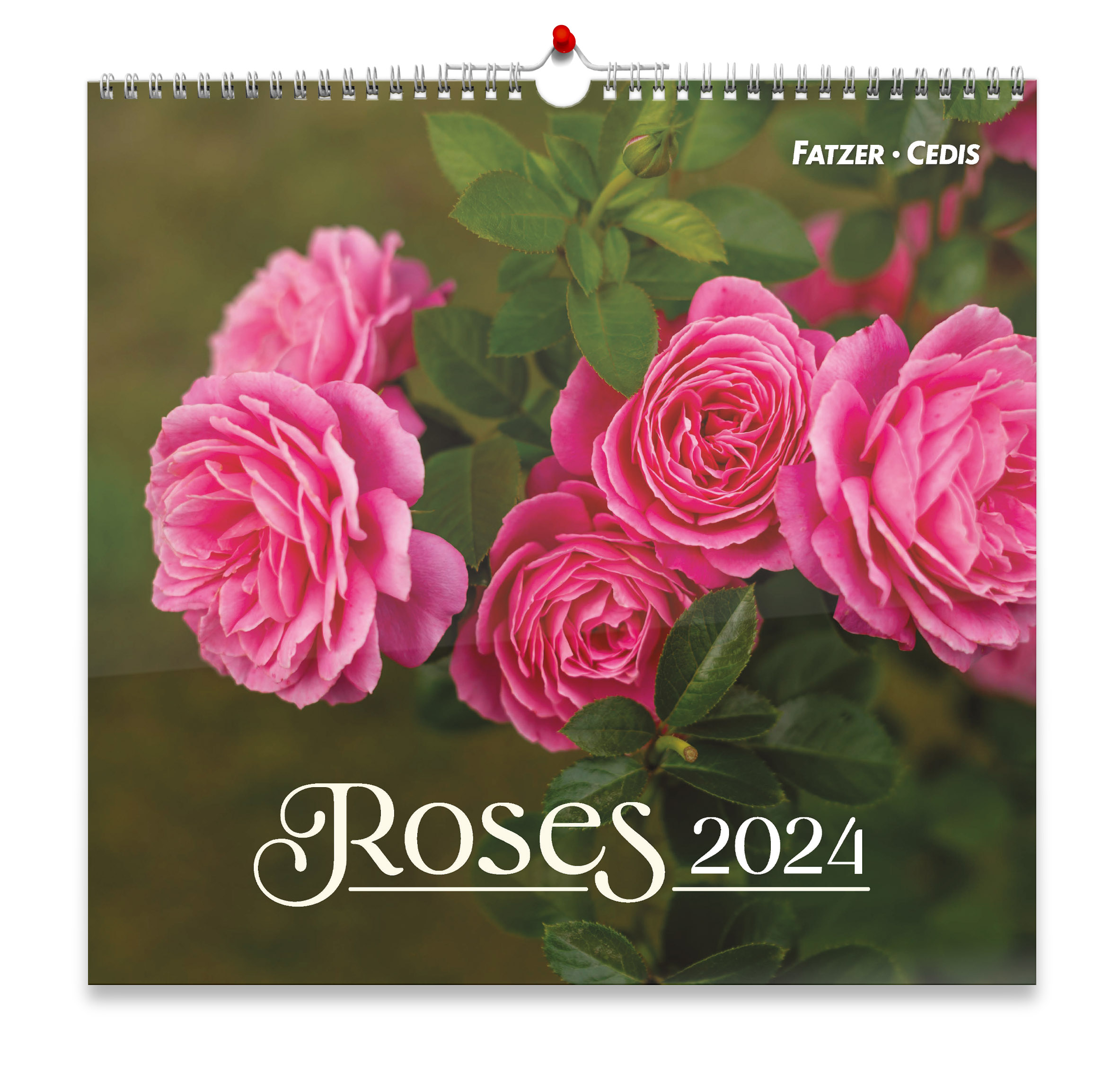 Roses grand format 2023