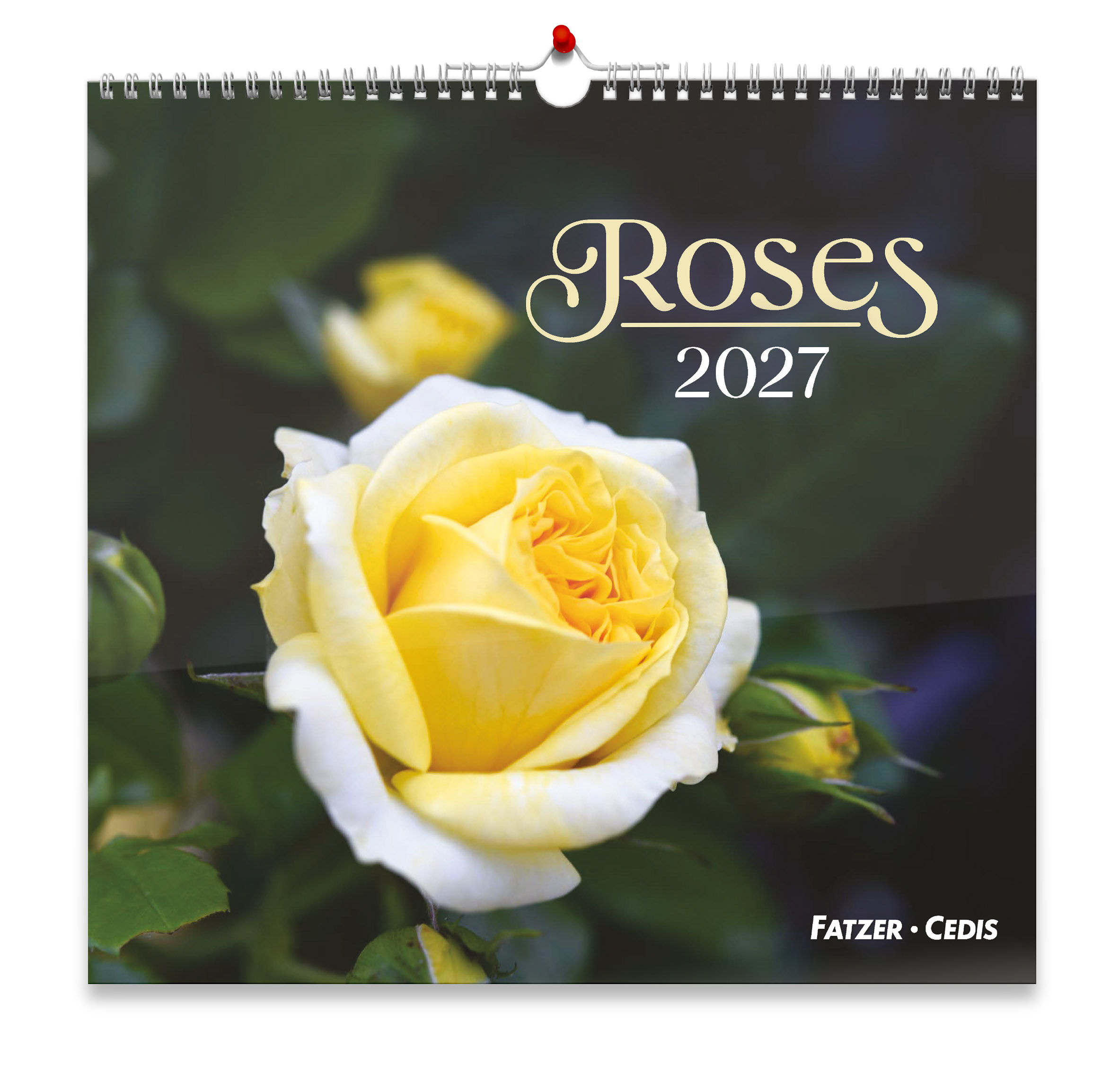 Roses calendrier grand format 2027