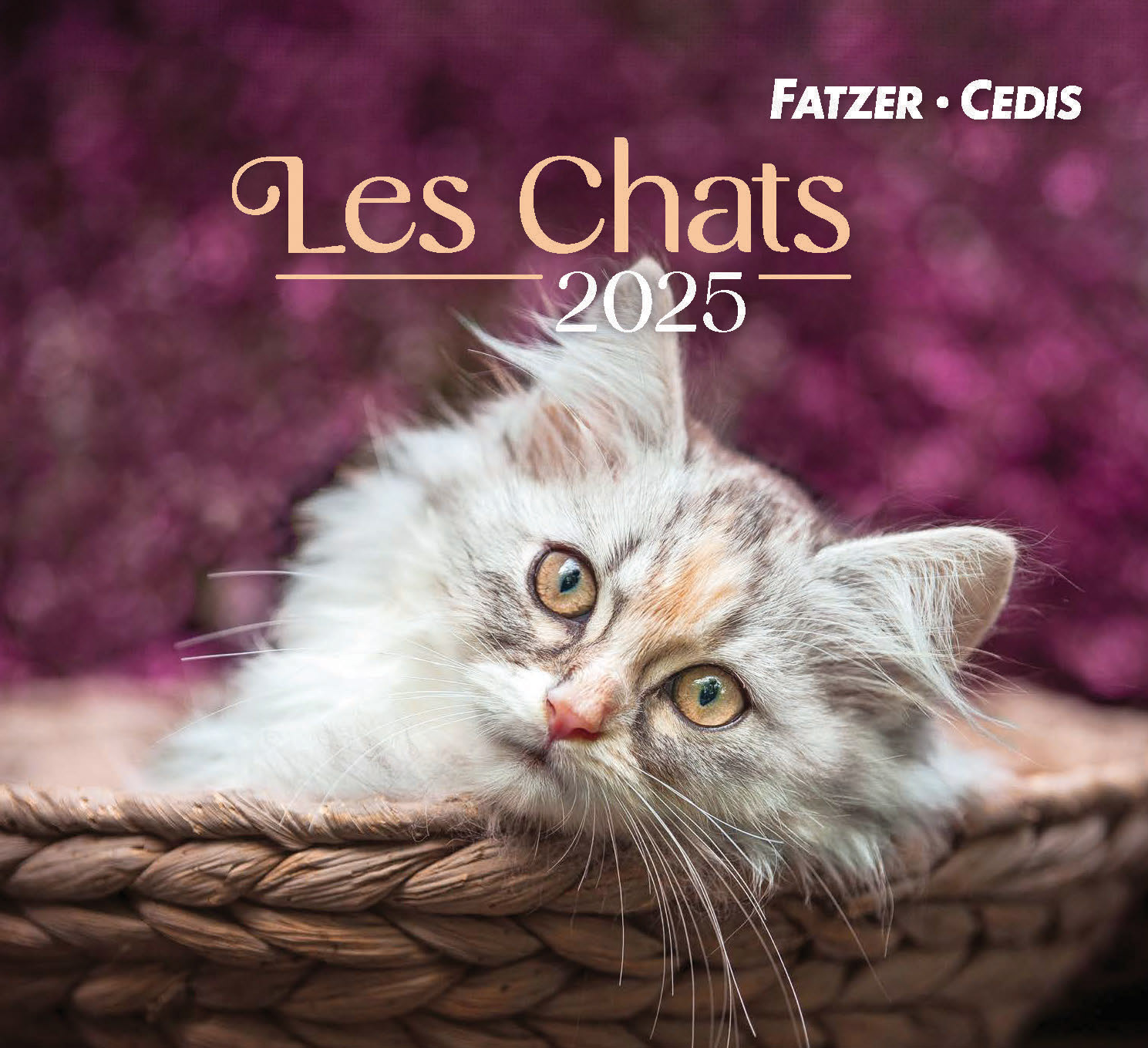 Chats petit format 2024
