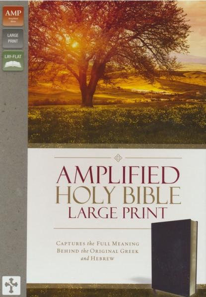 Amplified  holy bible burgundy large print -captures the full meaning behind the original greek and hebrew