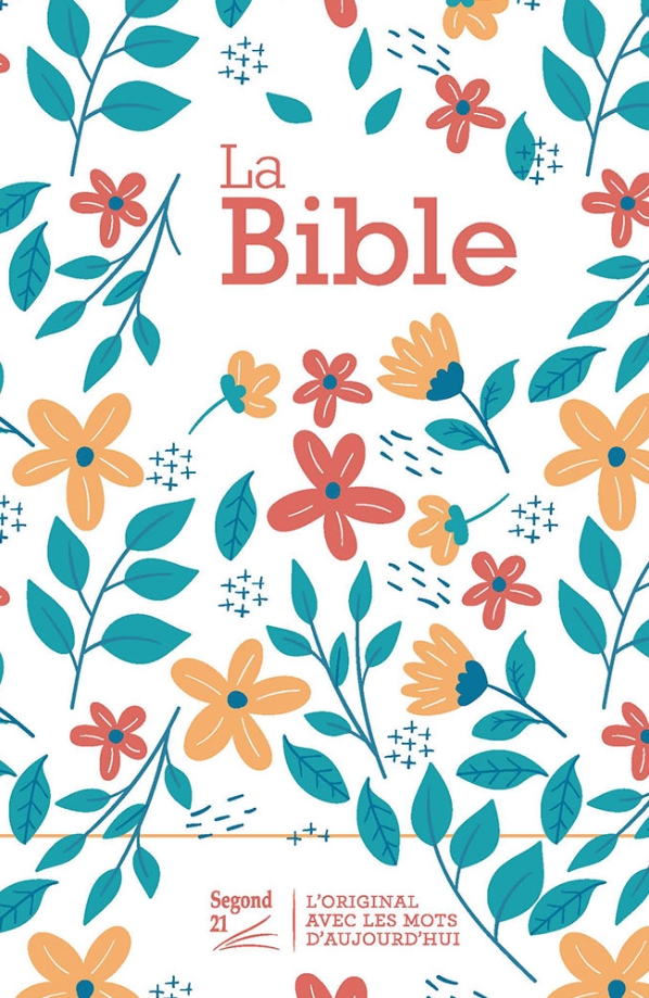 Bible Segond 21 Journal de bord: couverture rigide illustrée bleue