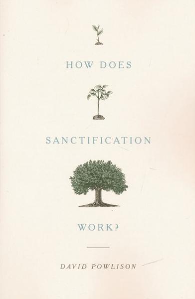 How does sanctification work?