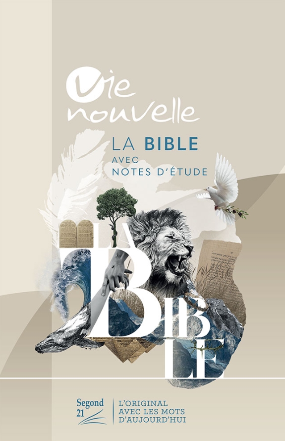 Bible Segond 21 Journal de bord: couverture rigide illustrée bleue