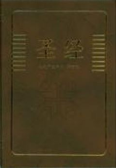 Bible en chinois tcv
