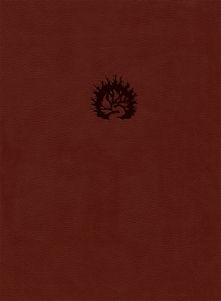 Bible d'étude de la foi réformée