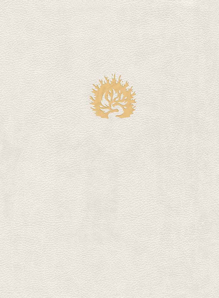 Bible d'étude de la foi réformée