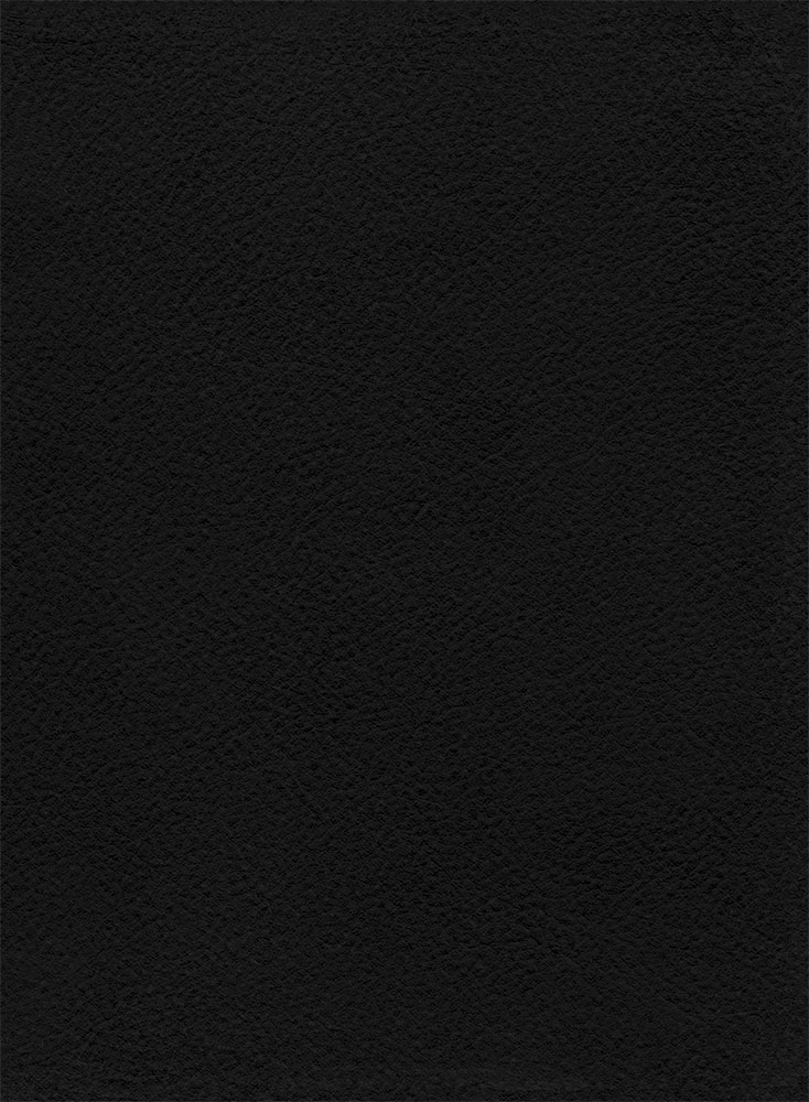 Bible d'étude de la foi réformée