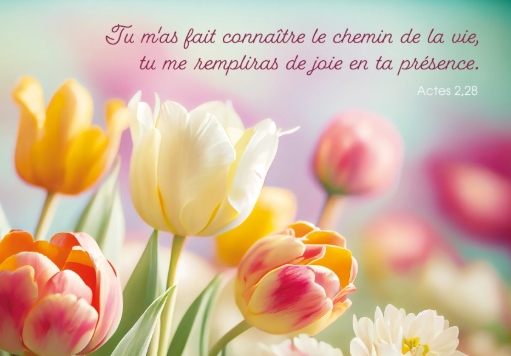 Carte postale avec verset tulipes multicolores