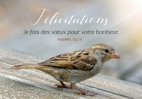 Carte postale Mariage avec verset oiseau