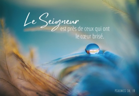 Carte postale avec verset goutte d'eau sur des plumes bleues et jaunes