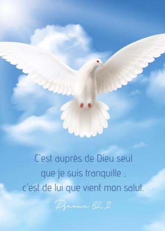 Carte postale avec verset colombe sur ciel bleu