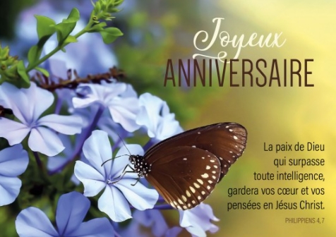Carte postale anniversaire avec verset papillon posé sur des fleurs bleues
