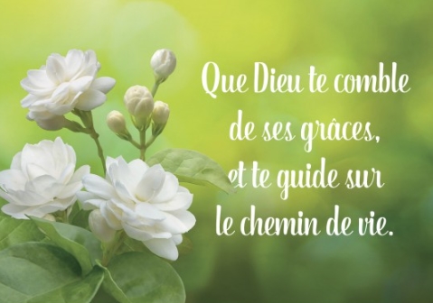 Carte postale citation fleurs blanches sur fond vert