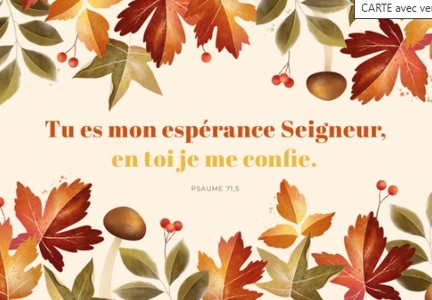 Carte postale condoléances avec verset fleurs d'automne et champignons