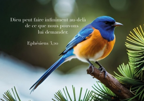 Carte postale avec verset oiseau sur une branche de pin