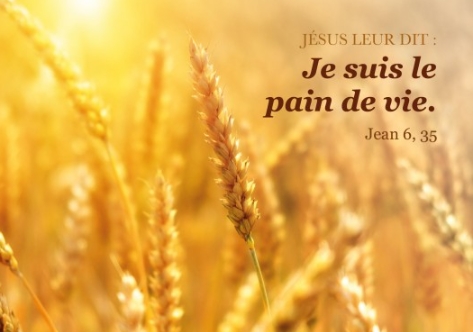 Carte postale avec verset épis de blé dans un champ