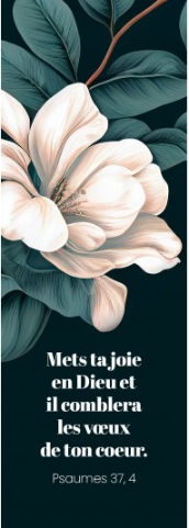 Marque-pages fleur blanche sur fond bleu