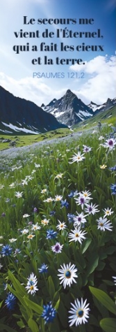 Marque-pages champ de fleurs blanches et bleues dans les montages