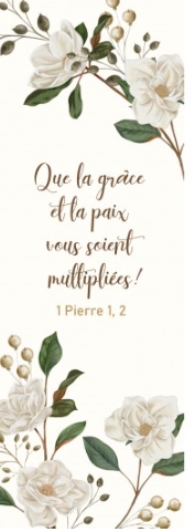 Marque-pages branches avec fleurs blanches