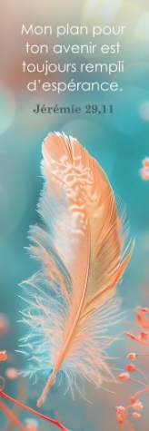 Marque-pages plume orange sur fond bleu