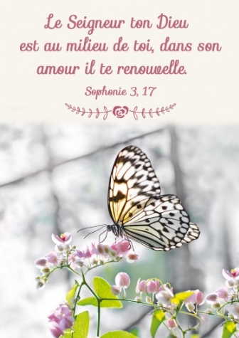 Mini carte papillon sur une branche en fleurs