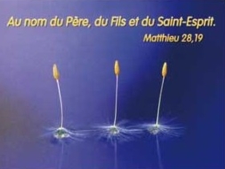 Mini carte baptême semences