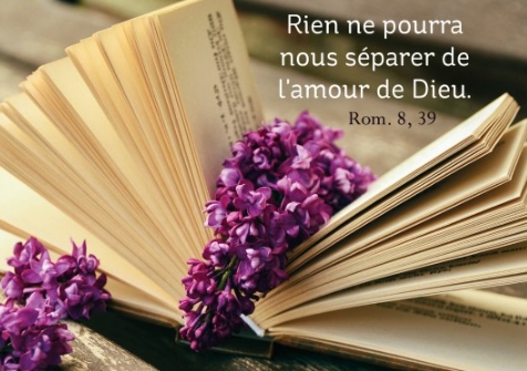 Mini carte livre ouvert avec des branches en fleur