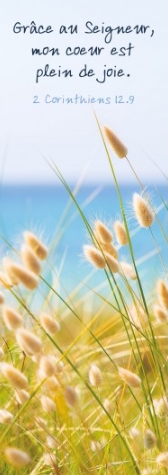 Marque-pages pampas au bord de l'océan