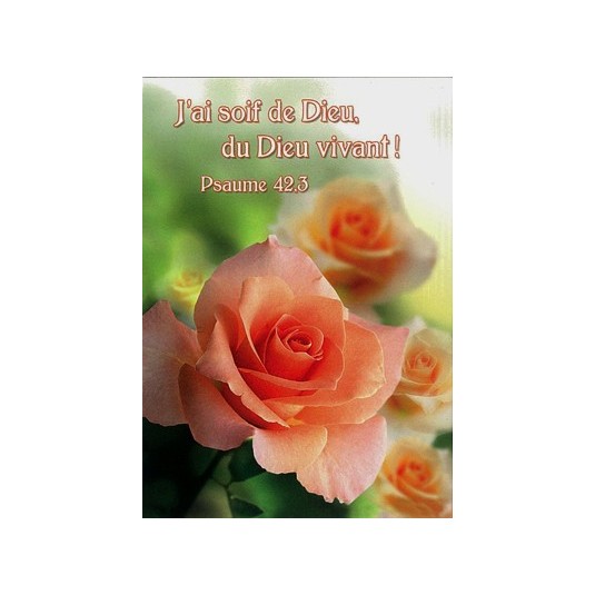 Mini carte roses
