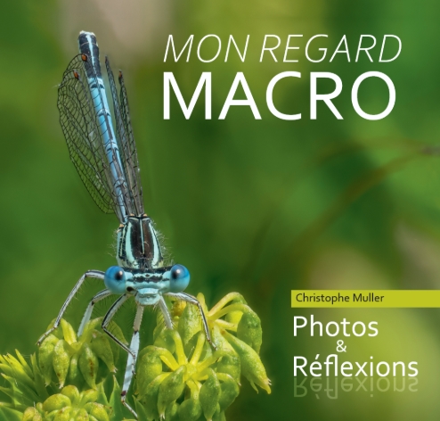 Mon regard macro