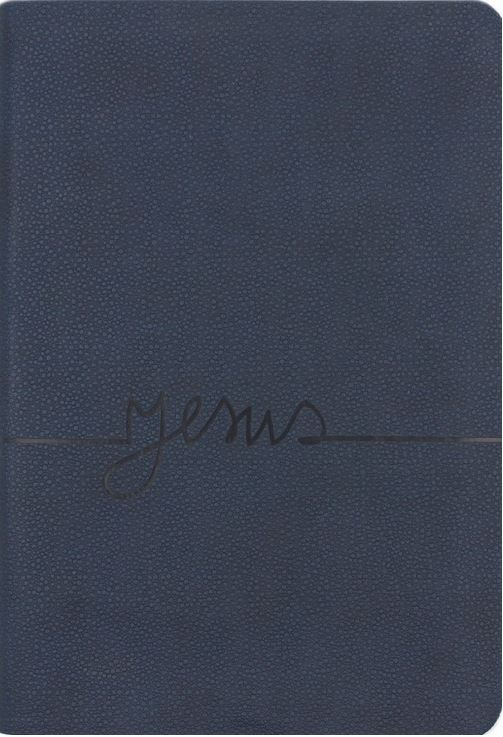 Bible portugais gros caracteres souple