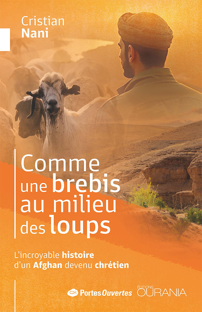 Comme une brebis au milieu des loups