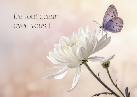 Carte postale condoléances fleurs de lys posées sur du marbre blanc avec le message "De tout coeur avec vous."