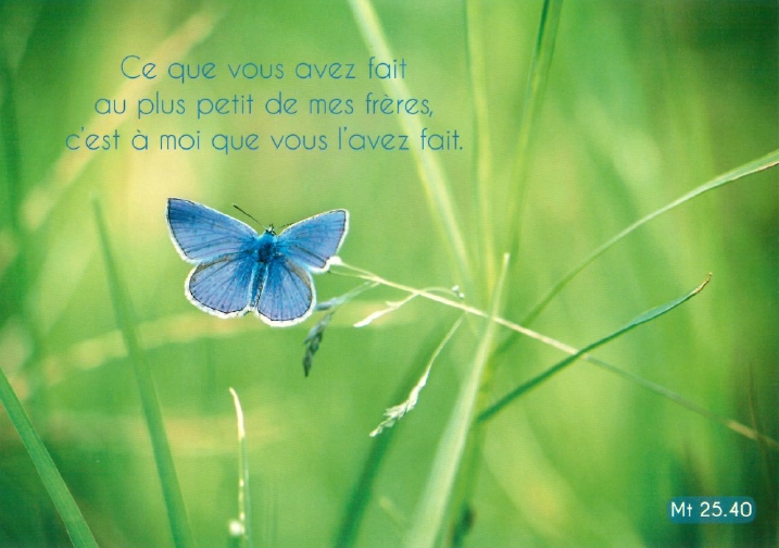 Carte postale avec verset