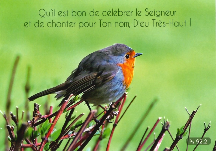 Carte postale avec verset