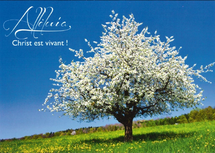 Carte postale Pâques