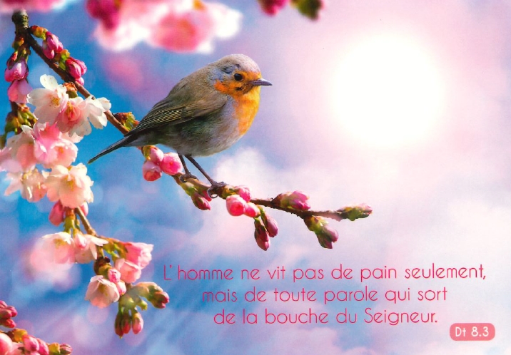 Carte postale avec verset