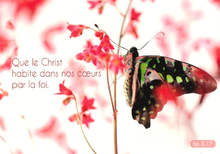 Carte postale avec verset