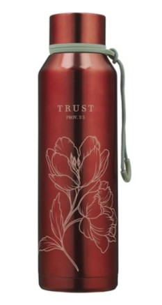 Gourde inox Trust