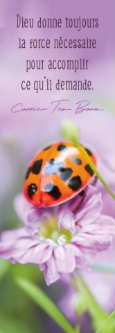 Marque-pages message coccinelle sur une fleur rose