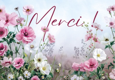 Mini carte fleurs roses et blanches: Merci (3700318937063): CLC France