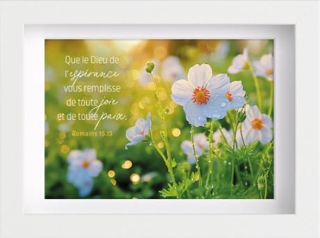 Mon cadre inspiration Fleurs blanches Ro 15.13