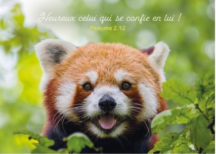Carte postale avec verset panda roux dans un arbre