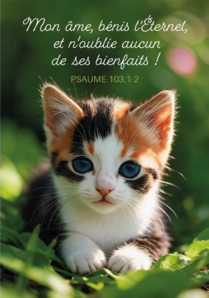 Mini carte chaton dans l'herbe